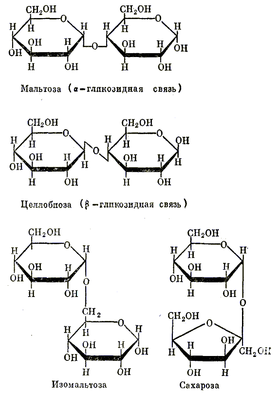 Типы гликозидных связей в дисахаридах