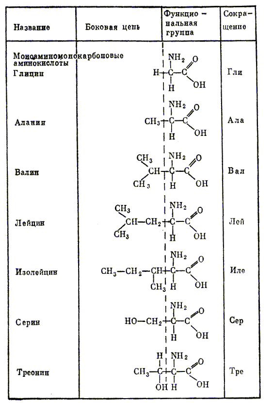 Двадцать аминокислот - 1