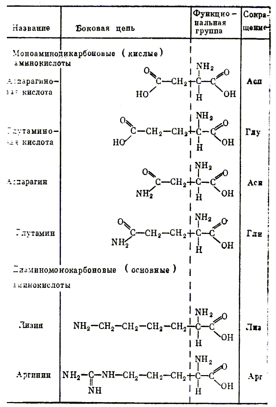 Двадцать аминокислот - 2