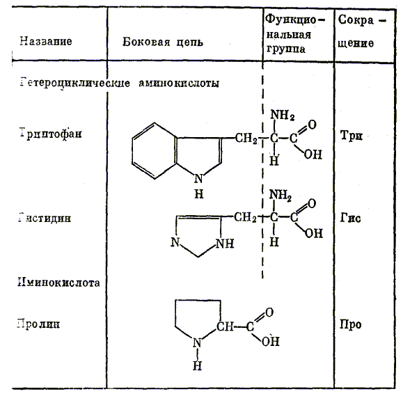 Двадцать аминокислот - 4