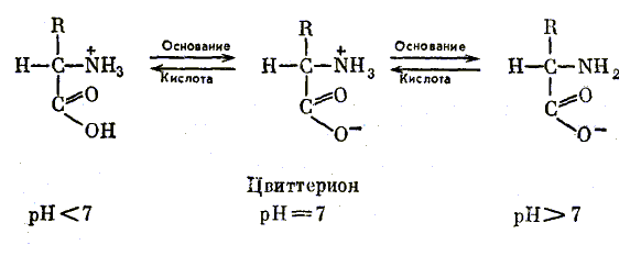Аминокислоты существуют в виде набора ионных форм
